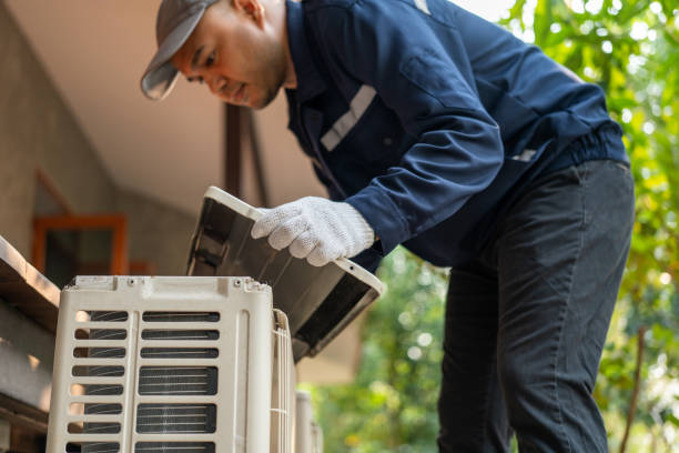 Best Best HVAC companies  in Hayfield, MN